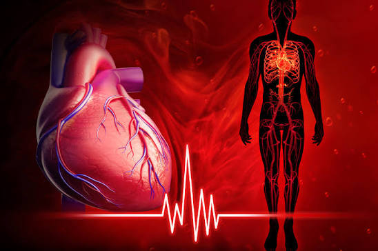 10 Health Facts About Heart