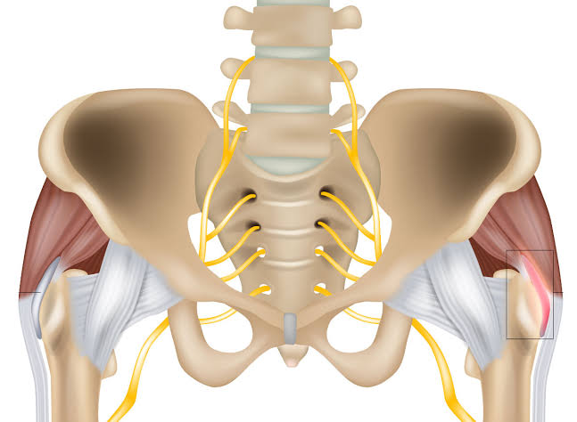 10 Health Facts About Hip Joints