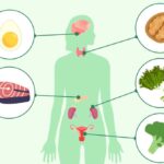 10 Health Facts About Hormones