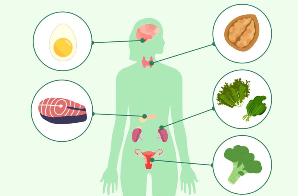 10 Health Facts About Hormones