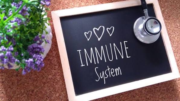 10 Health Facts About Immune System